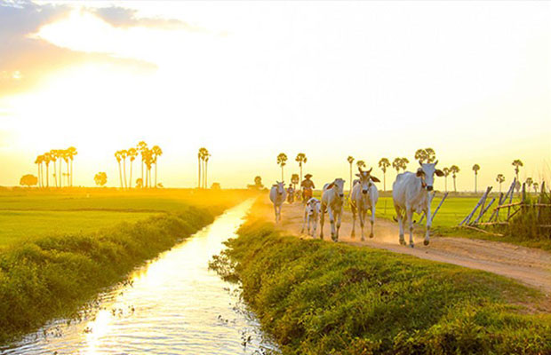 3-Days Tours Temples & Countryside